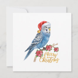 Budgie julkort