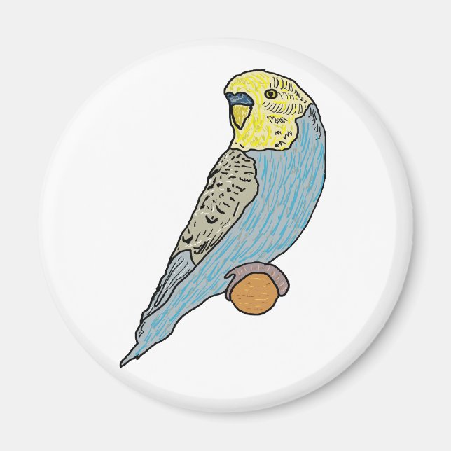 Budgie Magnet (Framsidan)