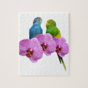 Budgie med den purpurfärgade orchiden pussel
