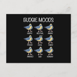 Budgie Moods Budgie Älskare Bird Älskare Vykort