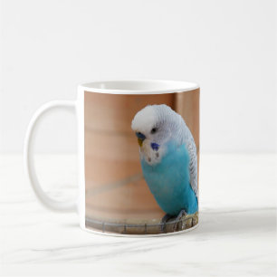Budgie mugg