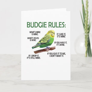 Budgie Owner Budgie Älskare Parakeet Bird Budgerig Kort