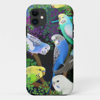 Budgie papegojor i Fernsiphone case