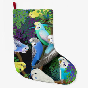 Budgie parakiter i Fernsjulstrumpa Stor Julstrumpa