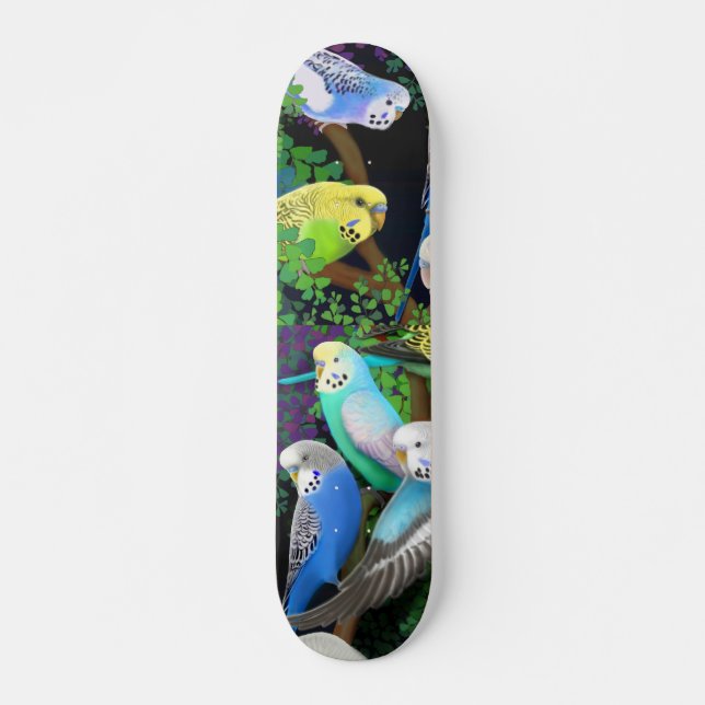 Budgie parakiterSkateboard Skateboard Bräda 20,5 Cm (Framsida)