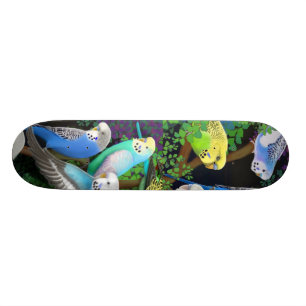 Budgie parakiterSkateboard Skateboard Bräda 20,5 Cm