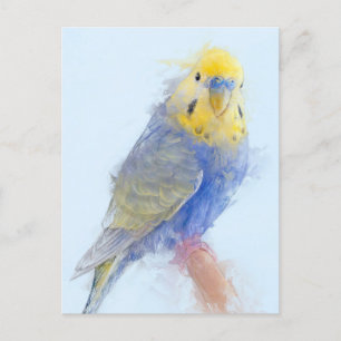 Budgie Porträtt nr 10 Vykort