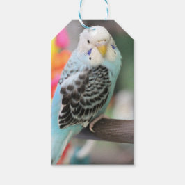 Budgie Presentetikett