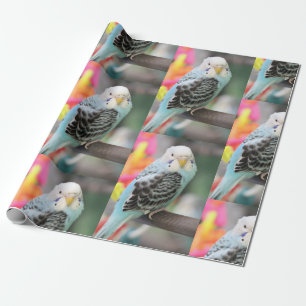 Budgie Presentpapper