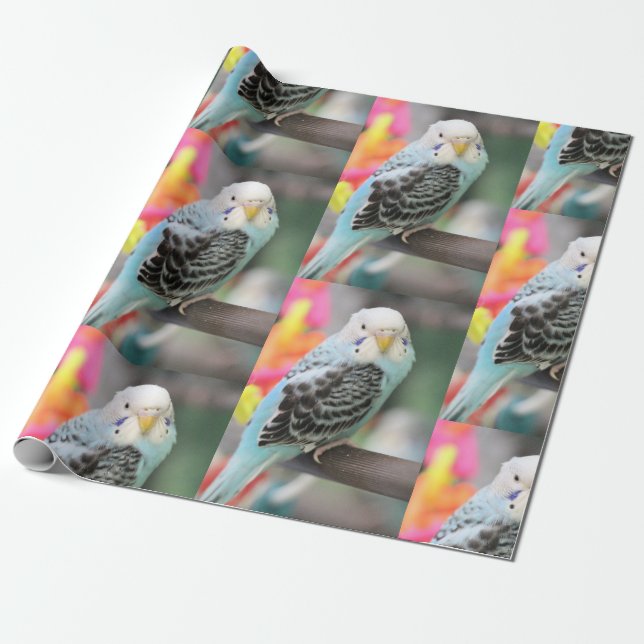 Budgie Presentpapper (Utrullad)