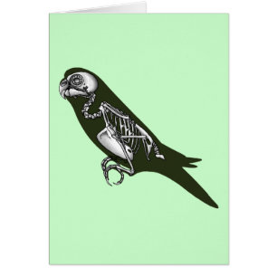 Budgie skeleton hälsningskort