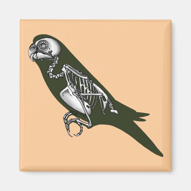Budgie skeleton magnet (Framsidan)