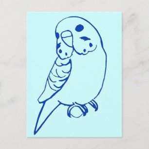 Budgie Teckning Vykort