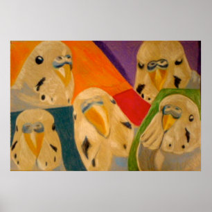 Budgie Undulat Affisch