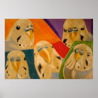 Budgie Undulat Affisch