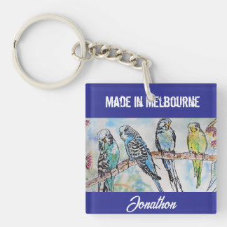 Budgie Undulatfågel Fågel Tillverkad I Melbourne F