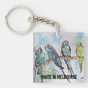 Budgie Undulatör Fågel Tillverkad I Melbourne 