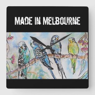 Budgie Undulatör Fågel Tillverkad I Melbourne Fågl Fyrkantig Klocka