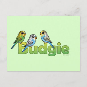 BUDGIE VYKORT