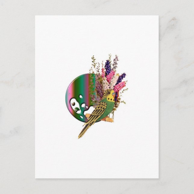 Budgie Vykort (Framsida)