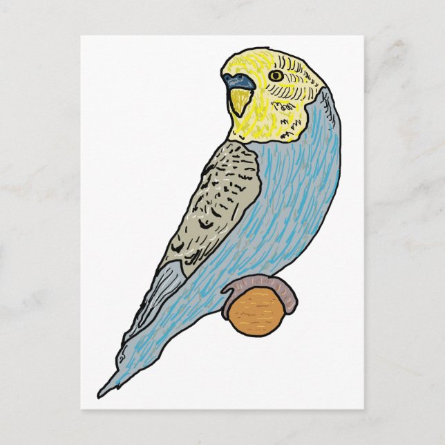 Budgie Vykort (Framsida)