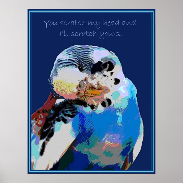 Budgie Wants a Scratch Poster (Framsidan)
