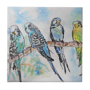 Budgie Watercolor Painting Bird Bird Whimsical Kakelplatta