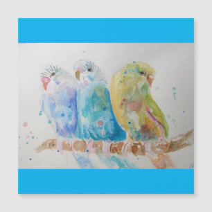 Budgie Watercolor Painting bird Budgies Aqua Teal