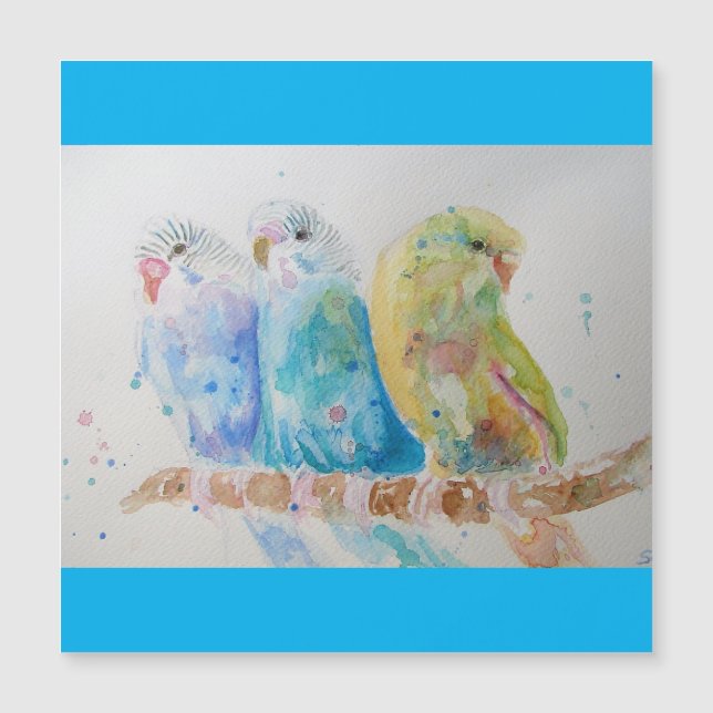 Budgie Watercolor Painting bird Budgies Aqua Teal (Framsida)