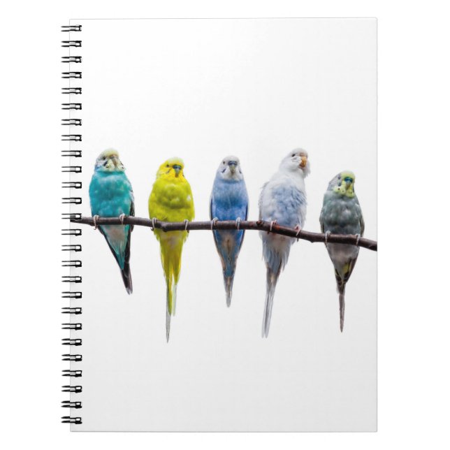 Budgies Anteckningsbok Med Spiral (Framsidan)