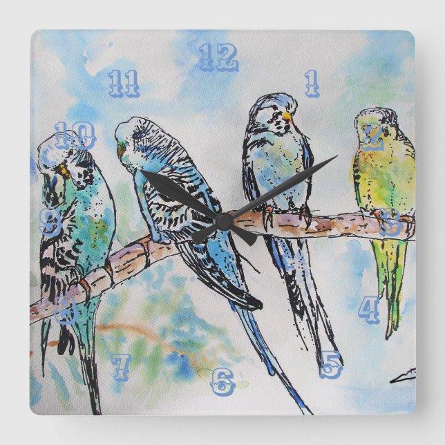 Budgies Budgie Budgerigar Bird Room Clock Fyrkantig Klocka (Framsida)