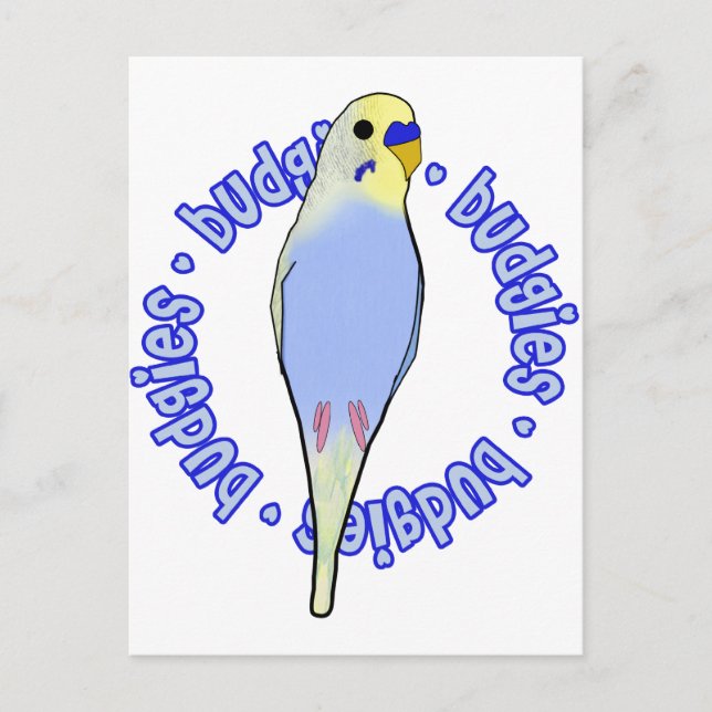 Budgies Budgies Budgies Vykort (Framsida)