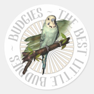 Budgies de bästa små budskapen runt klistermärke