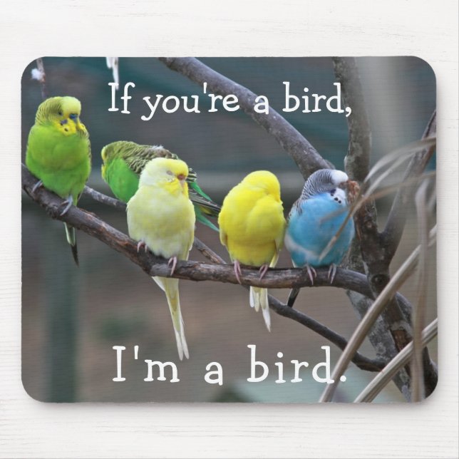 Budgies för parakiter för musmatta (Framsidan)