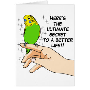 Budgies gör liv bättre hälsningskort