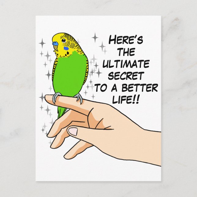 Budgies gör livet bättre vykort (Framsida)