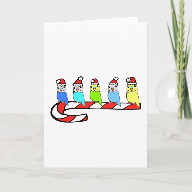 Budgies - jul helgkort (Framsida)