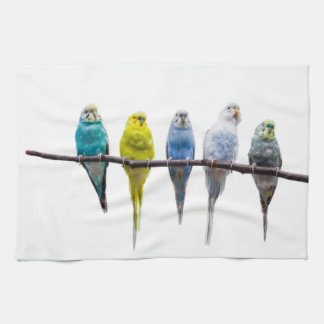 Budgies Kökshandduk