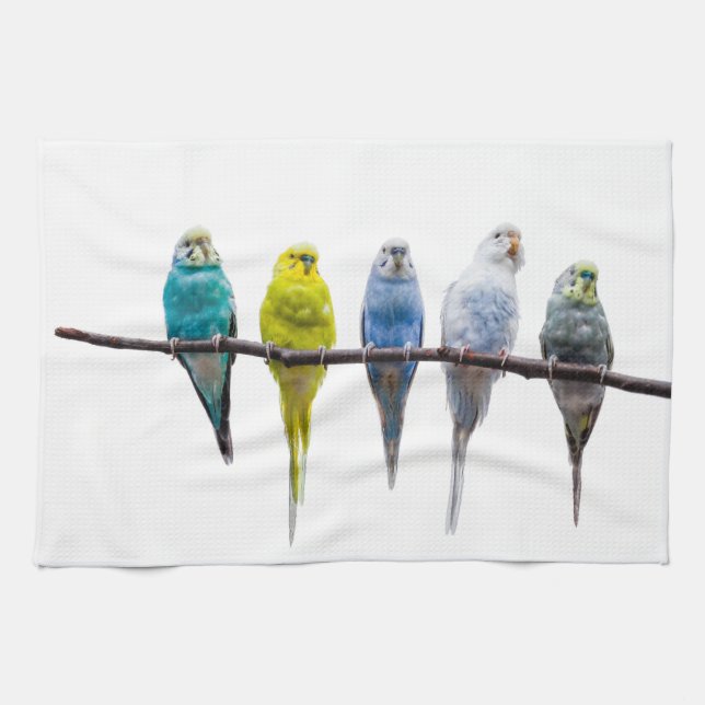 Budgies Kökshandduk (Horisontell)