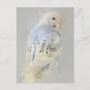 Budgies nr 7 vykort