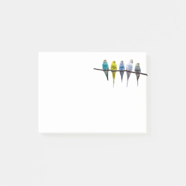 Budgies Post-it Block (Framsida)