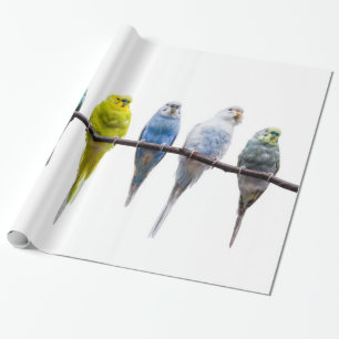 Budgies Presentpapper
