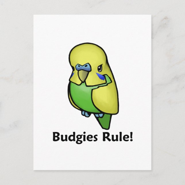 Budgies-regeln! Vykort (Framsida)