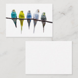 Budgies Visitkort