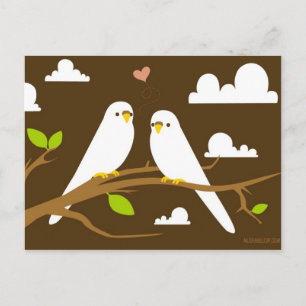 Budgies vykort