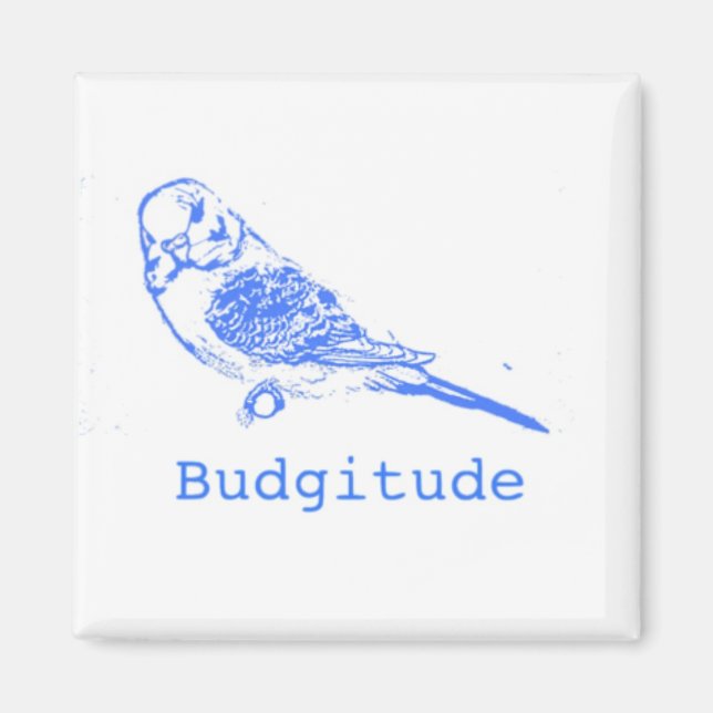 Budgitude Magnet (Framsidan)