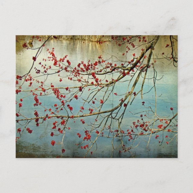 Budning ut vykort (Framsida)