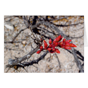 Buds Hälsningskort