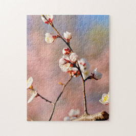 Buds of Japansk Apricot Flowers in Vår Pussel