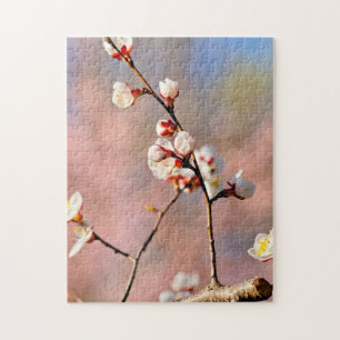 Buds of Japansk Apricot Flowers in Vår Pussel